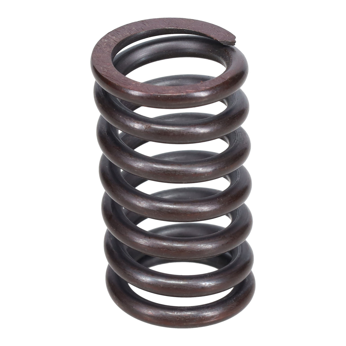 Valve Spring