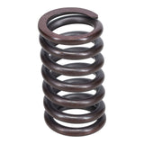 Valve Spring