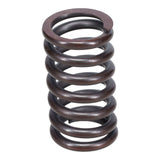 Valve Spring