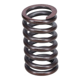 Valve Spring
