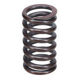 Valve Spring