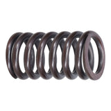 Valve Spring