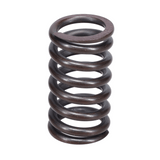 Valve Spring