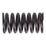 Valve Spring