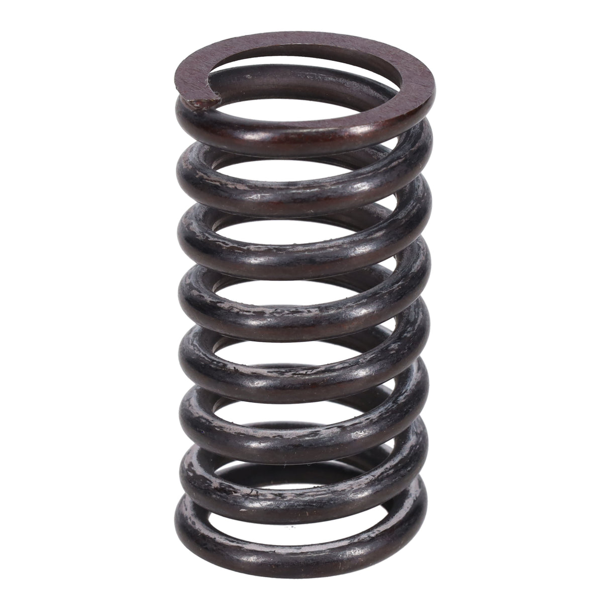 Valve Spring
