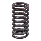 Valve Spring
