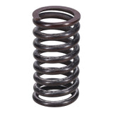 Valve Spring