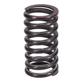 Valve Spring