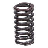 Valve Spring