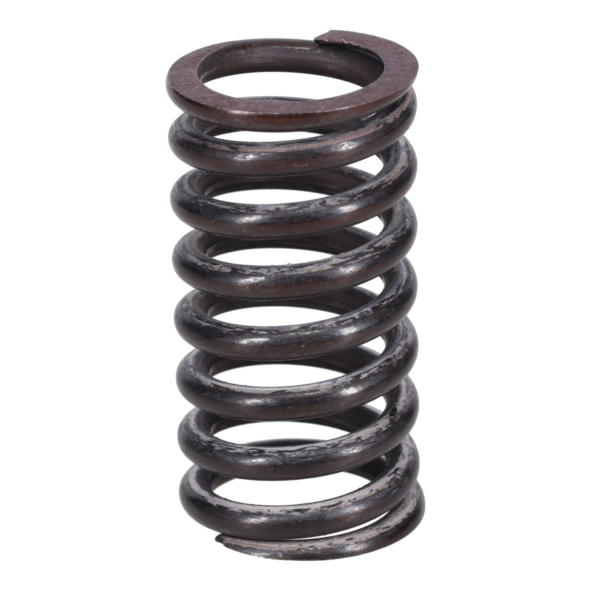 Valve Spring