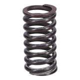 Valve Spring