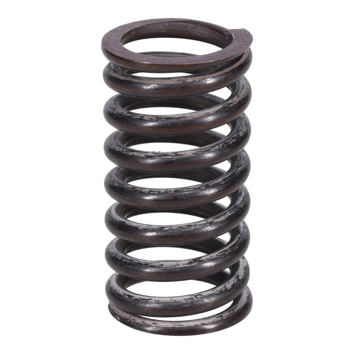 Valve Spring