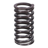 Valve Spring