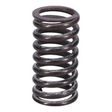 Valve Spring