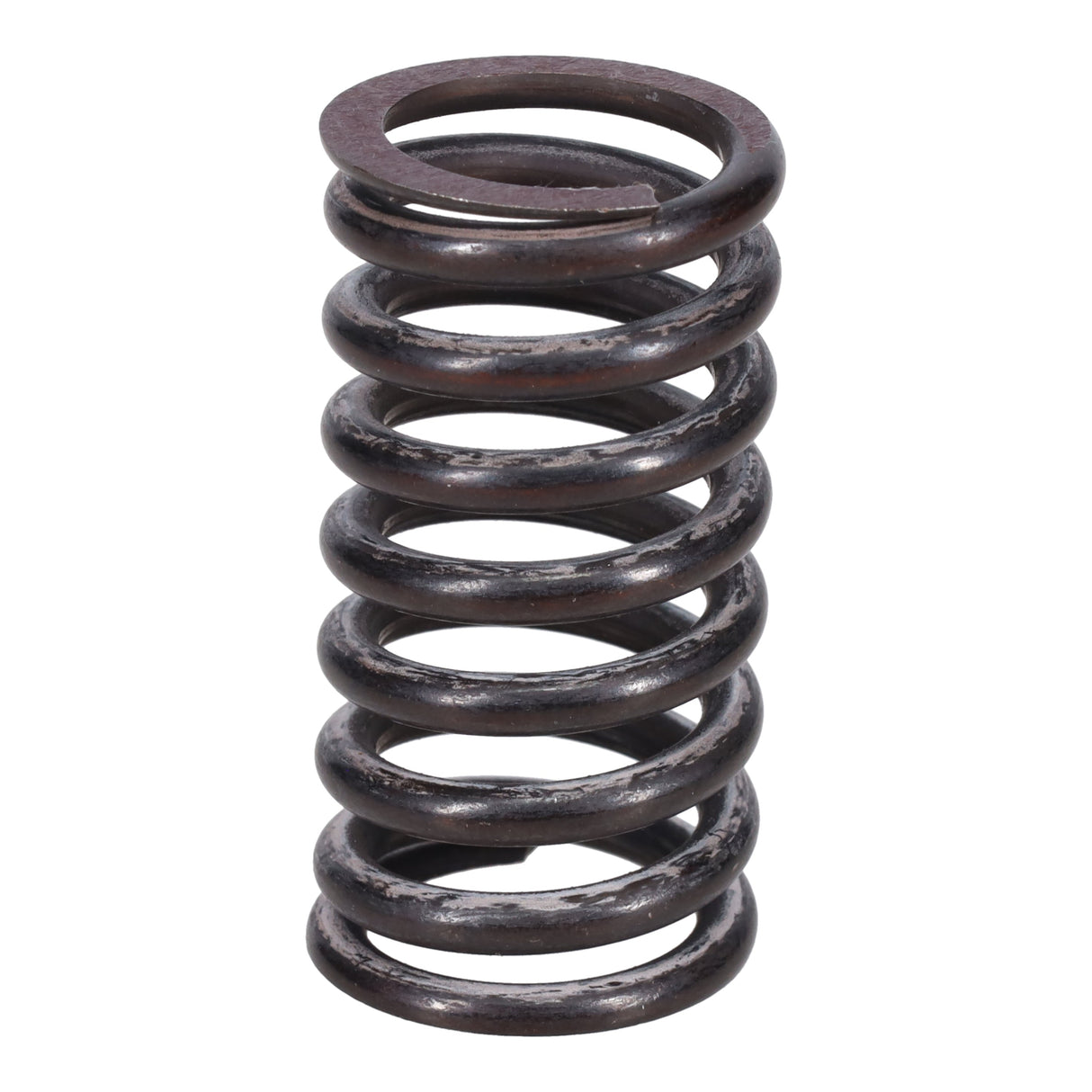 Valve Spring