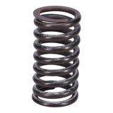 Valve Spring