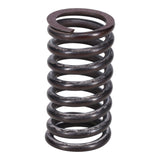 Valve Spring