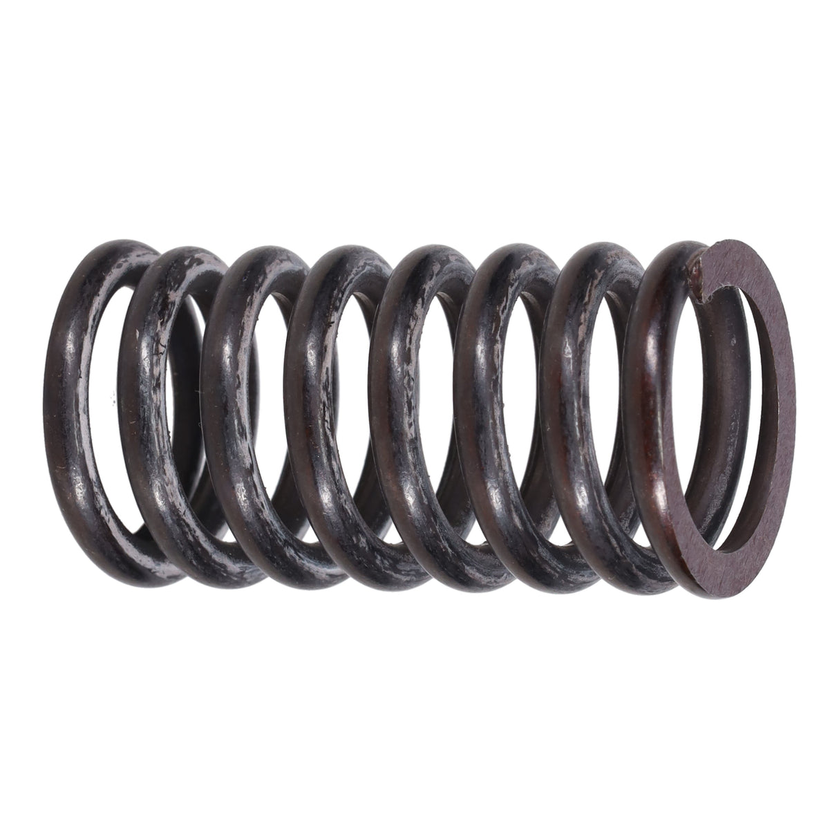 Valve Spring