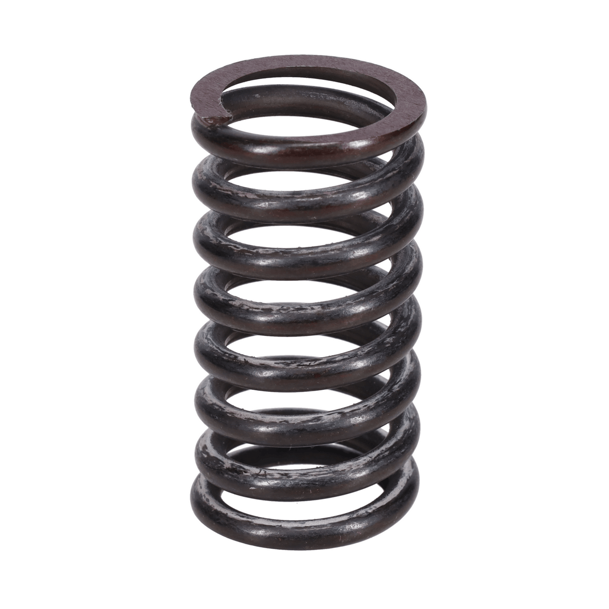 Valve Spring