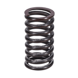 Valve Spring