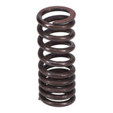 Valve Spring