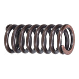 Valve Spring