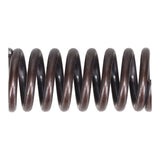 Valve Spring