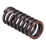 Valve Spring
