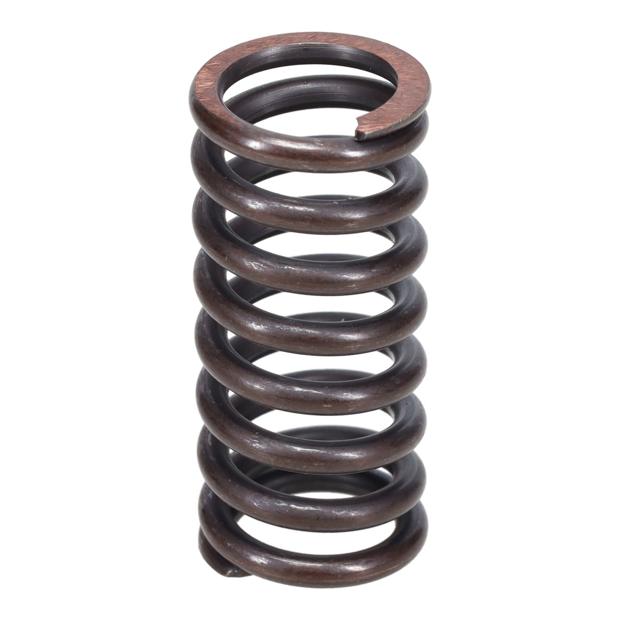 Valve Spring