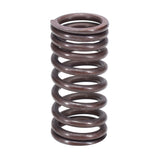 Valve Spring