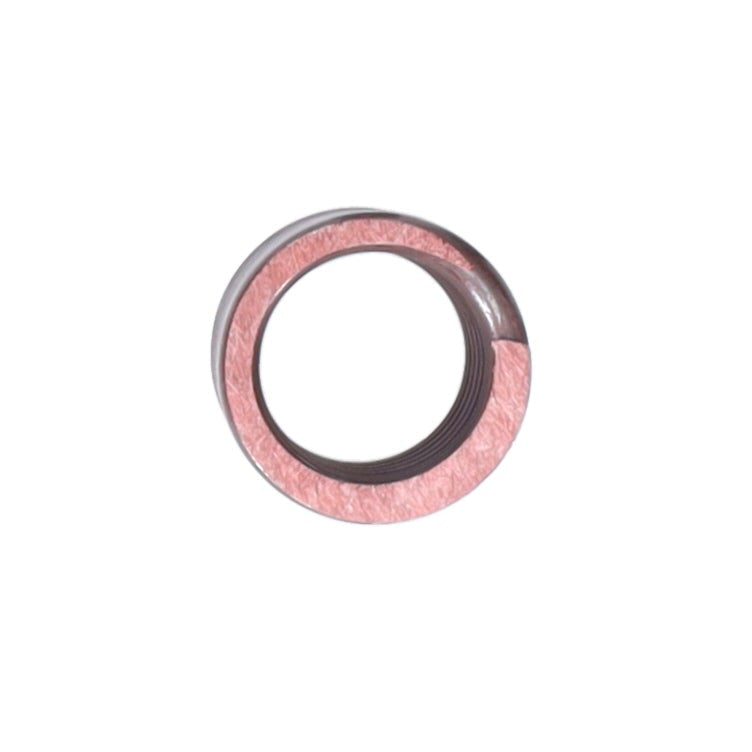 Valve Spring