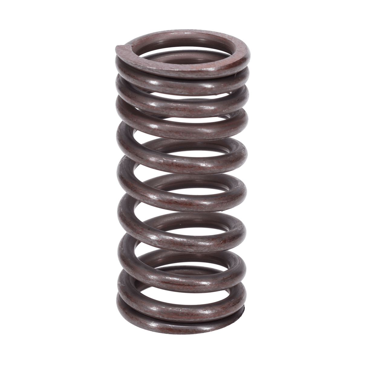 Valve Spring