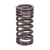 Valve Spring