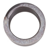 Valve Spring