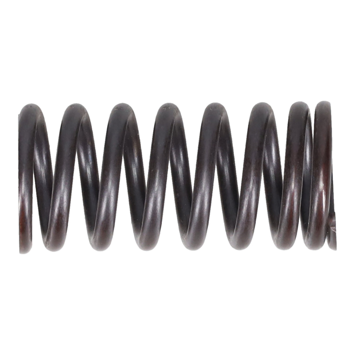 Valve Spring
