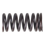 Valve Spring
