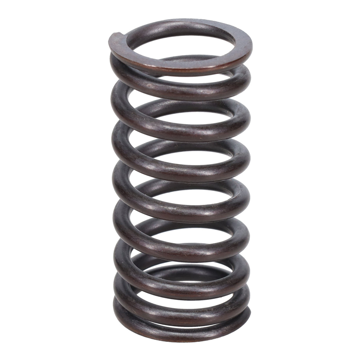 Valve Spring
