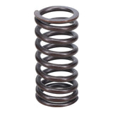 Valve Spring