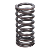 Valve Spring