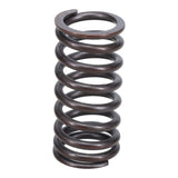 Valve Spring