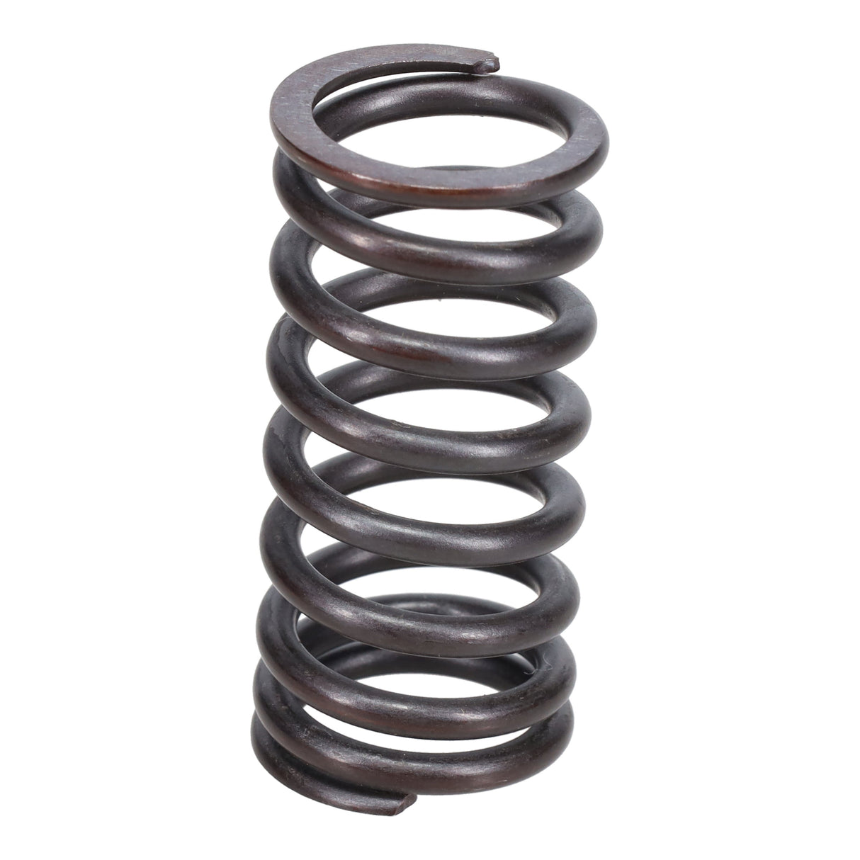 Valve Spring