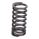 Valve Spring