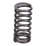 Valve Spring