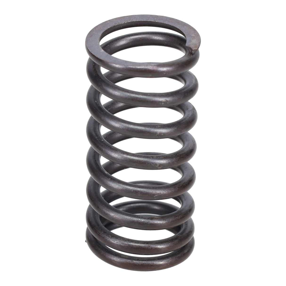 Valve Spring