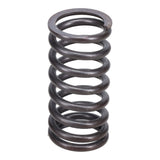 Valve Spring
