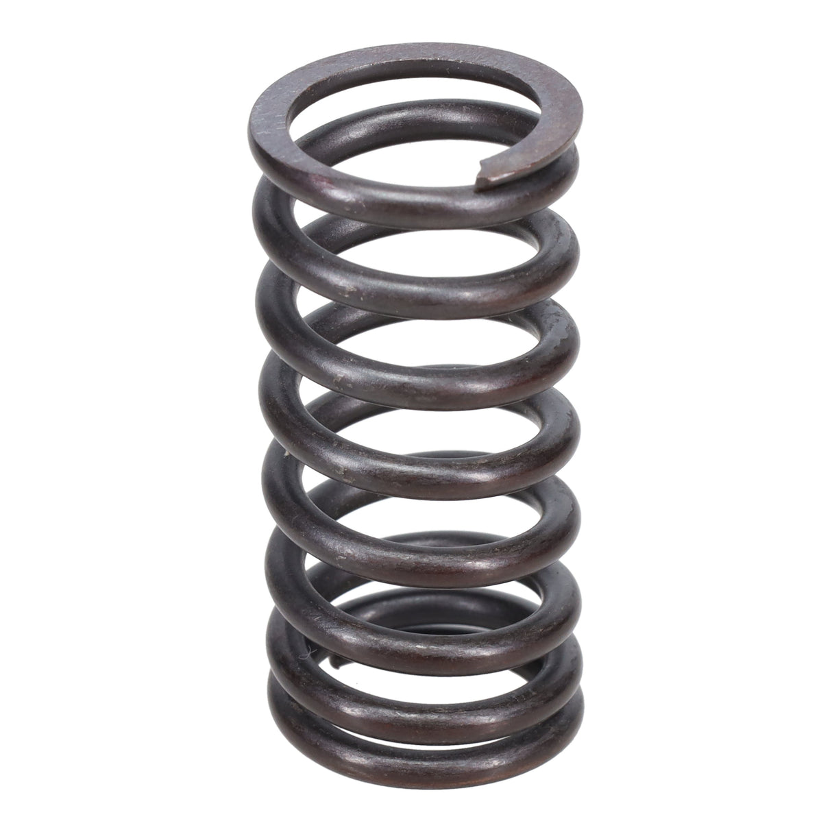 Valve Spring