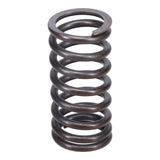 Valve Spring