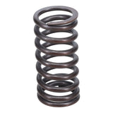 Valve Spring