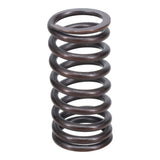 Valve Spring
