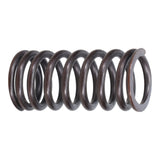 Valve Spring